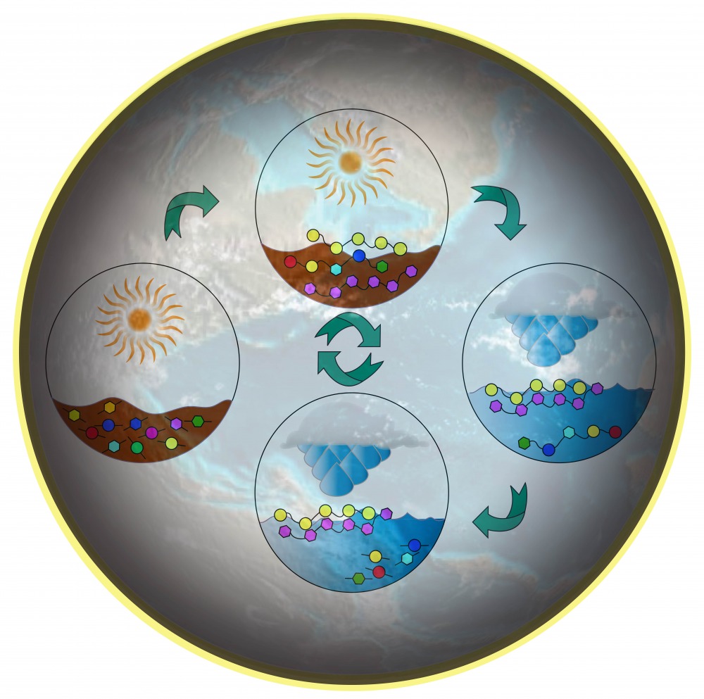 Emergence of functional proto-polymers